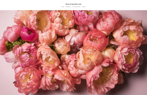 beatriceprada.com portfolio