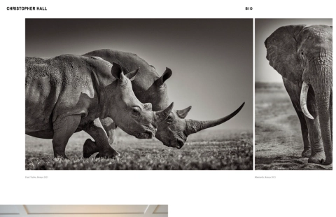 Christopher Hall Photography portfolio