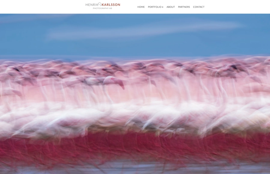Henrik Karlsson Photography portfolio preview