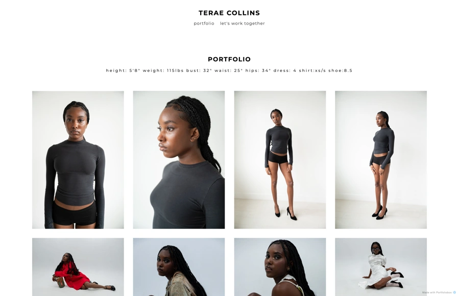 terae collins portfolio preview