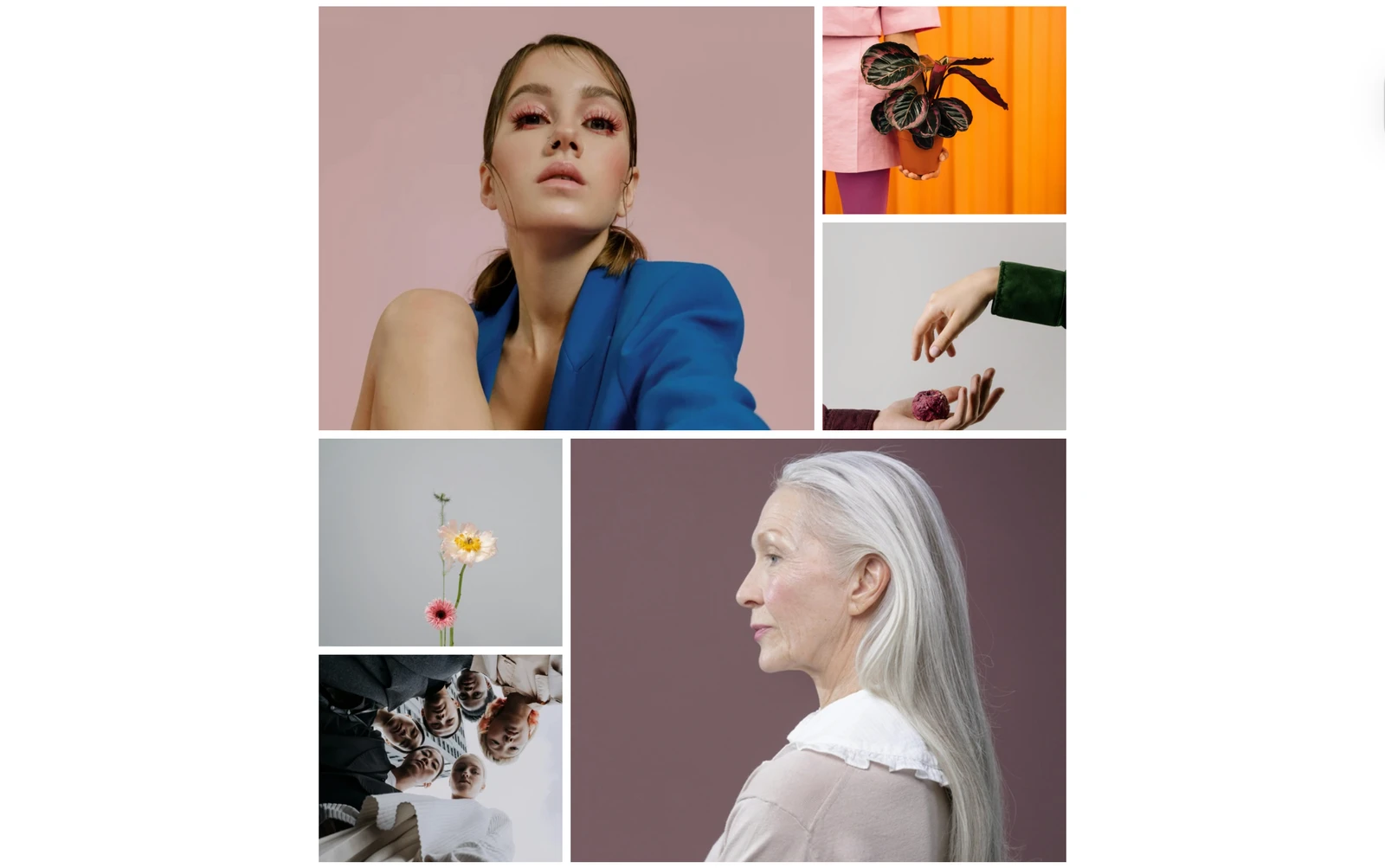 Portfoliobox gallery layout categories