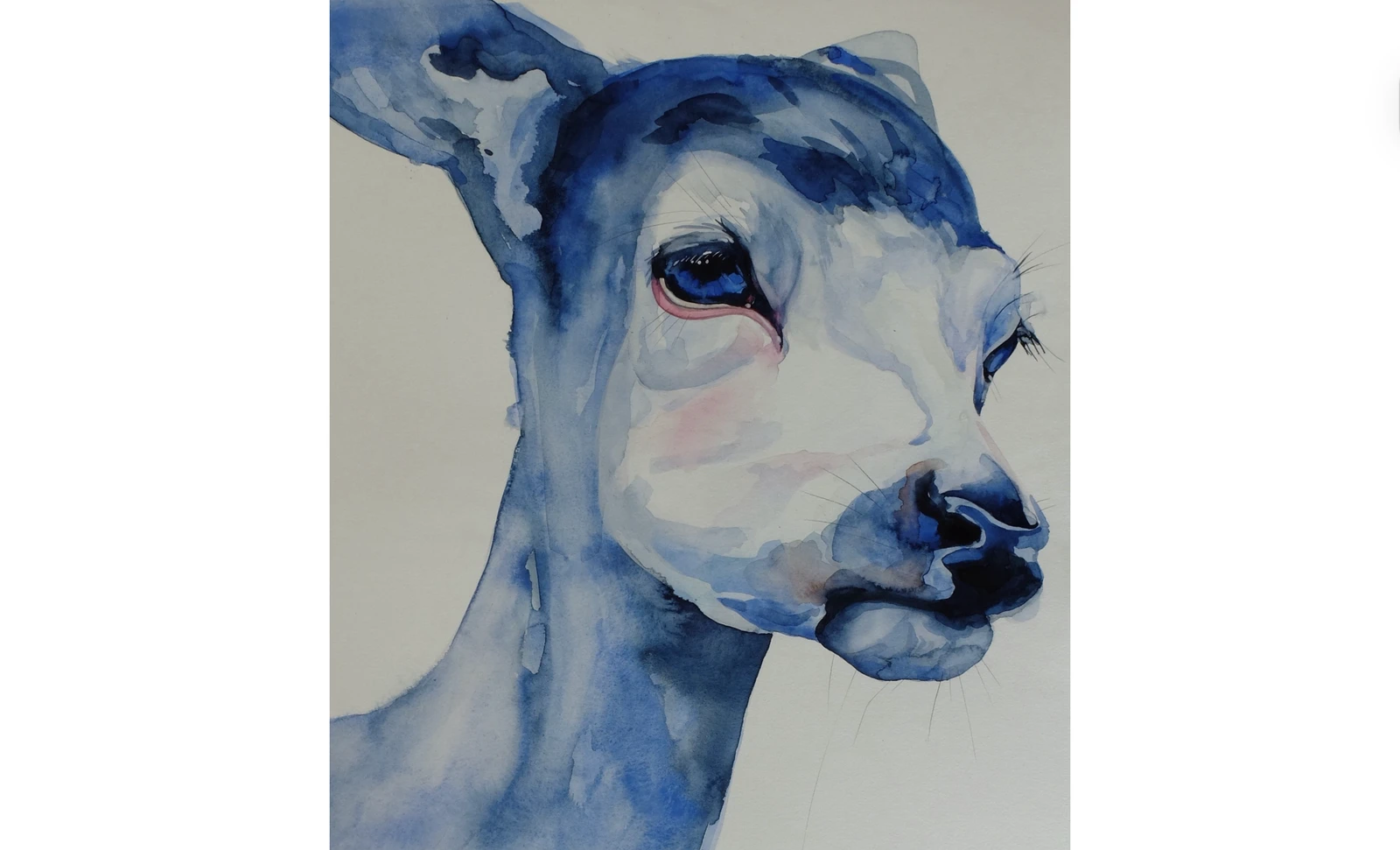 Watercolour deer detail by Juan Carlos Castillo