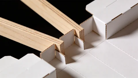 Architecture students