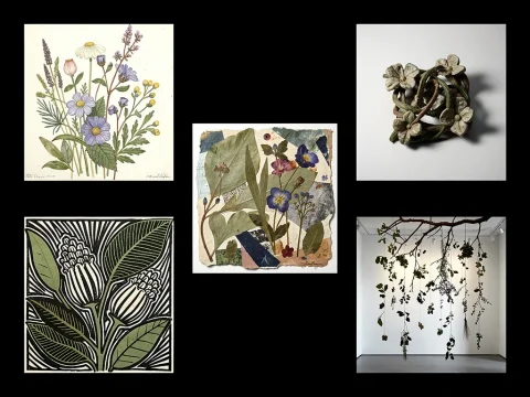 Creativos que empiezan