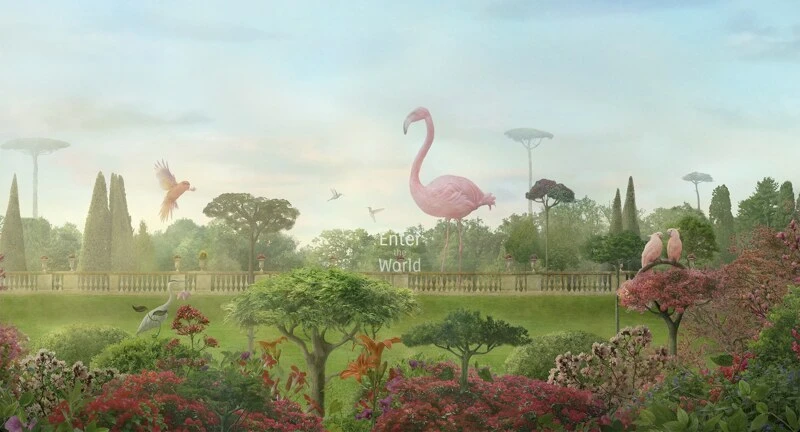 Nikolina Petolas's portfolio